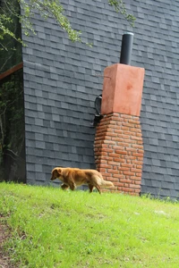 05 / Images 1