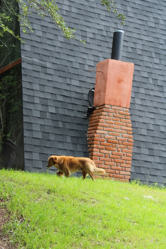 05 / Images 1