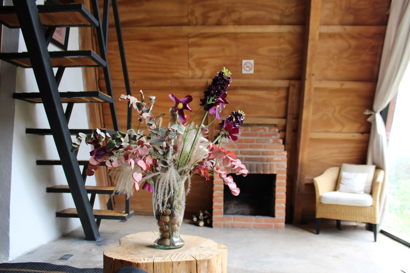 05 / Images 2