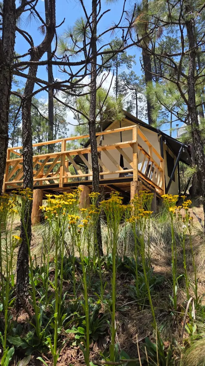 Safari Tents