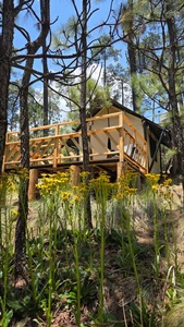 Safari Tents