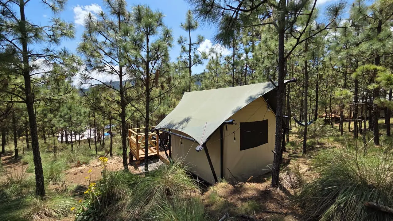 Safari Tents 2