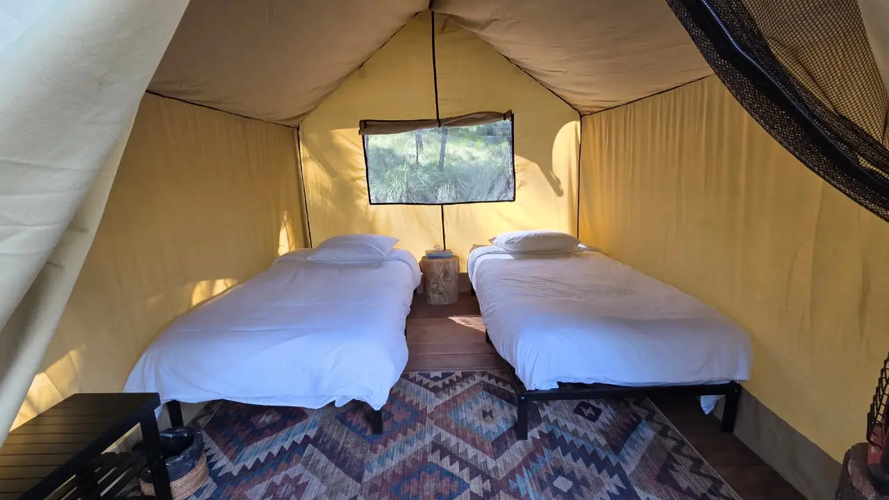 Safari Tents 4