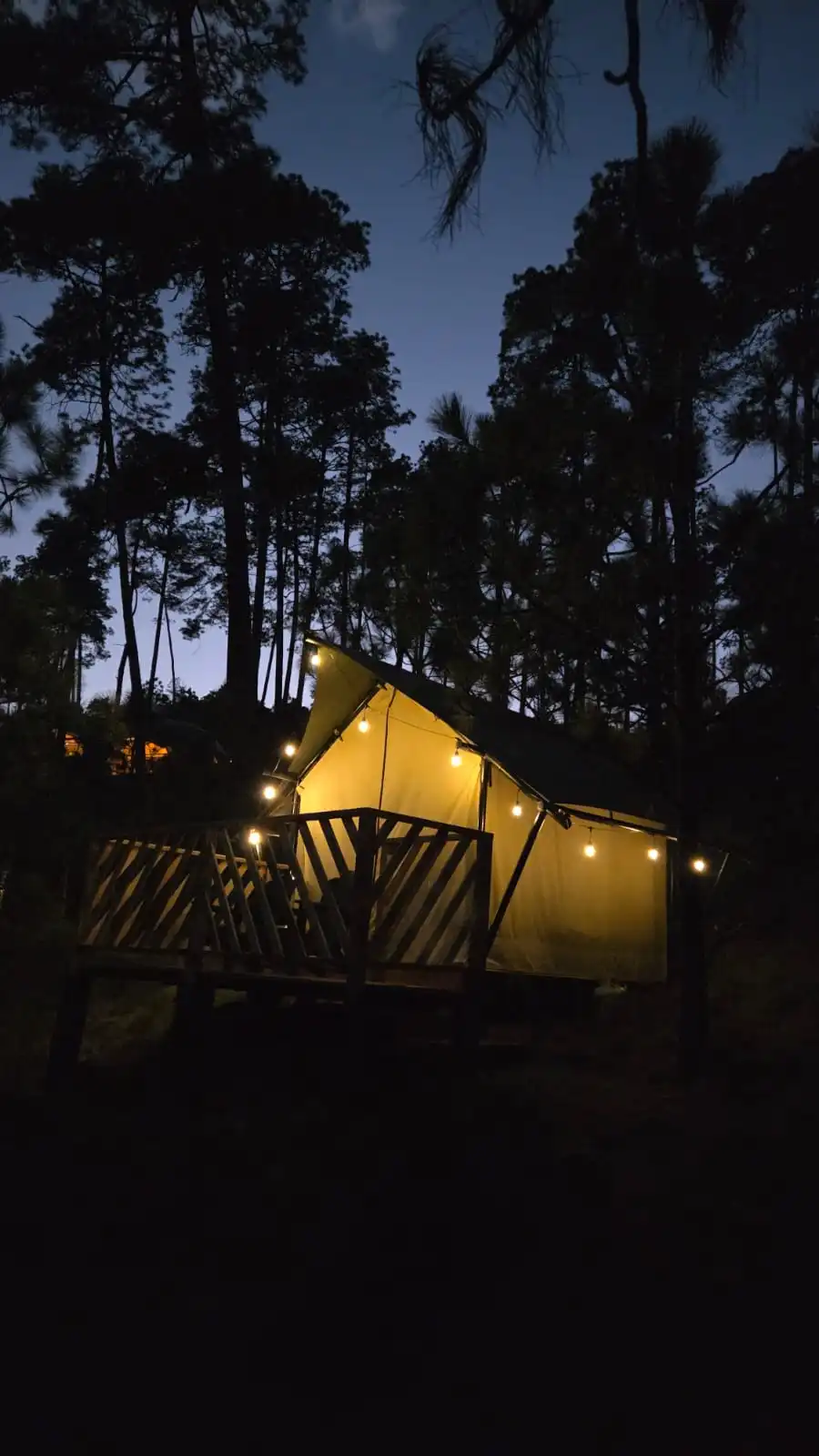 Safari Tents 6