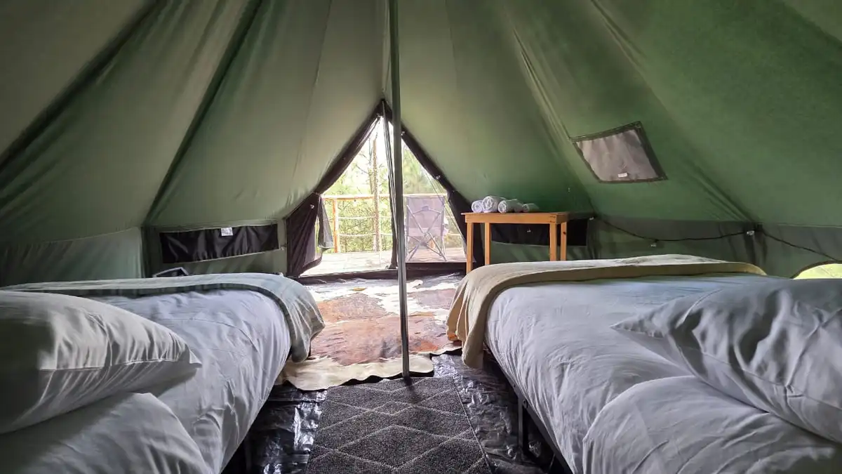 Forest Tents 3
