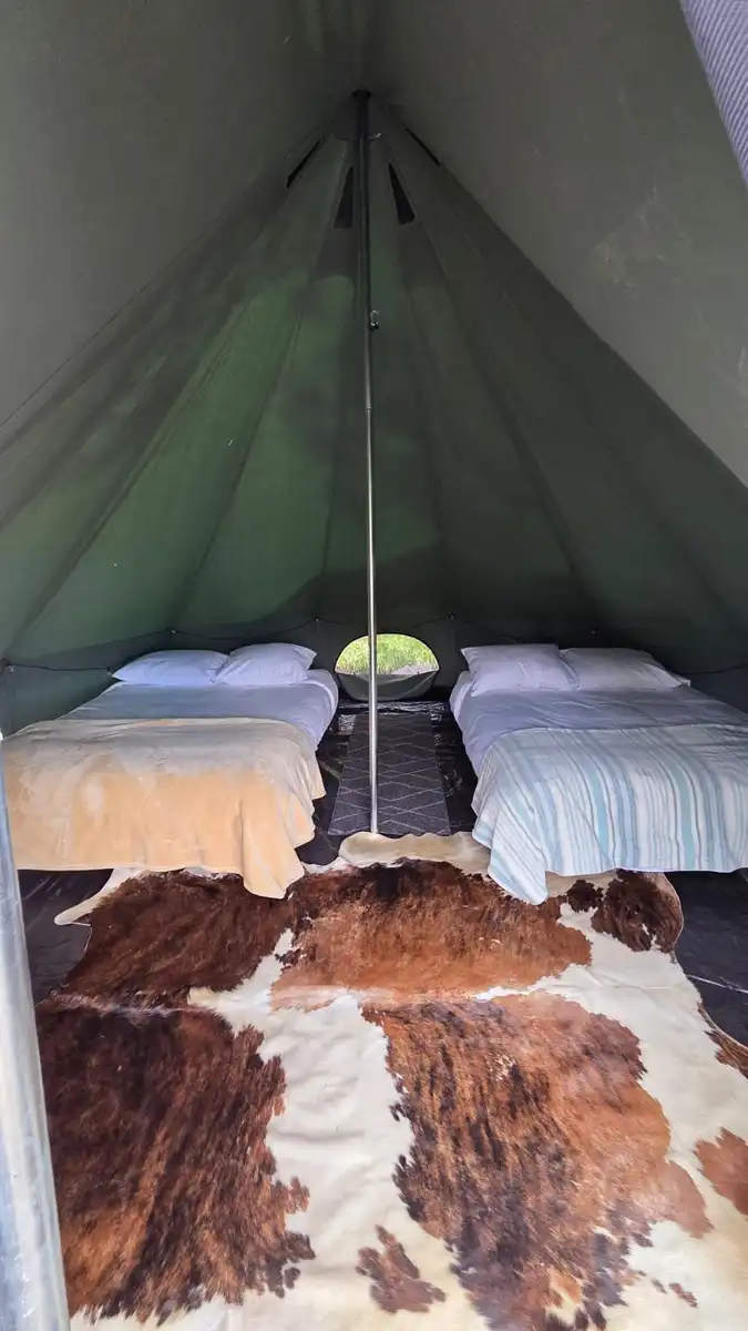 Forest Tents 4