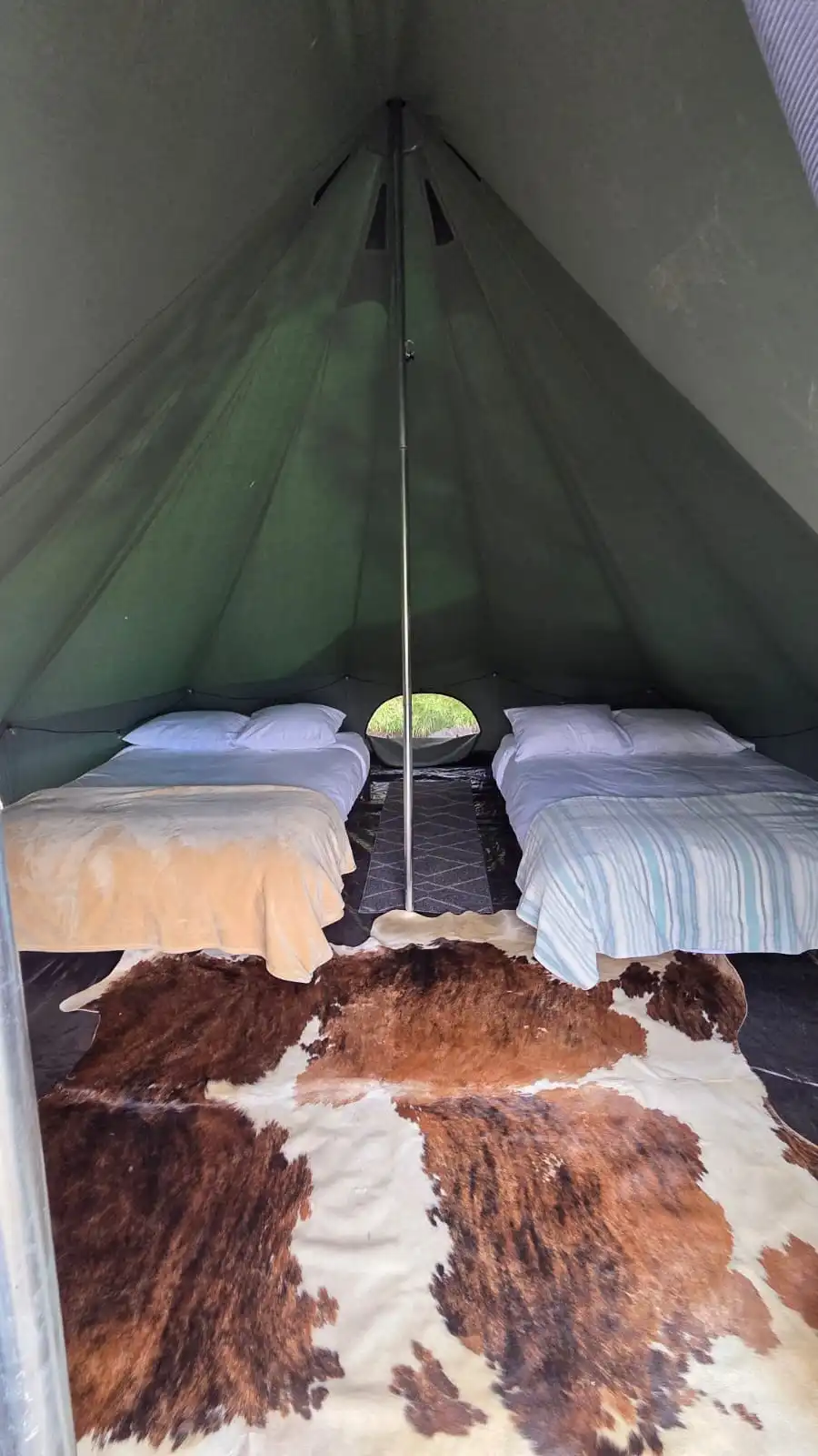 Forest Tents 4