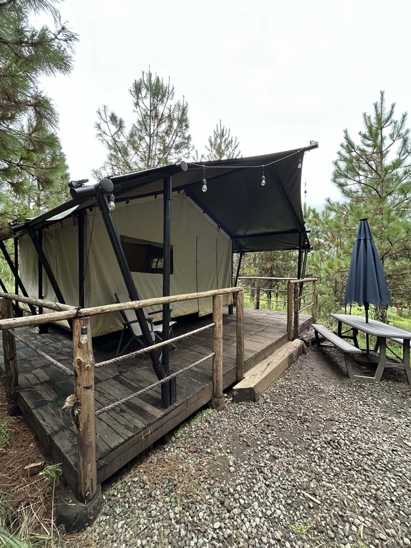 Forest Tent 1