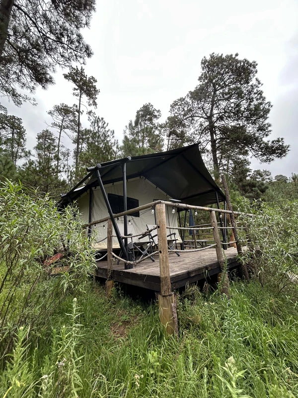 Forest tent 2