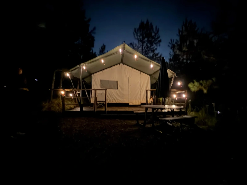Forest Tents 2