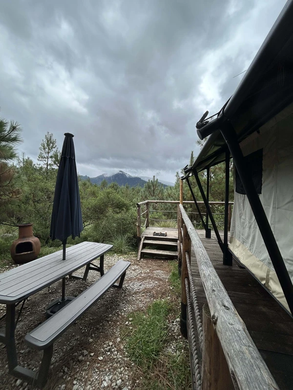 Forest Tents 5