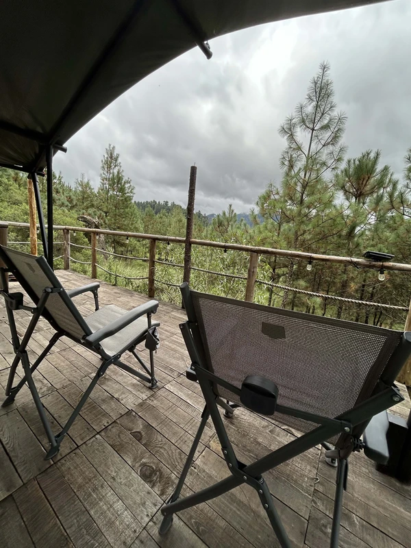 Forest Tents 4