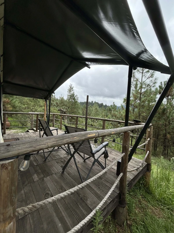Forest Tents 6