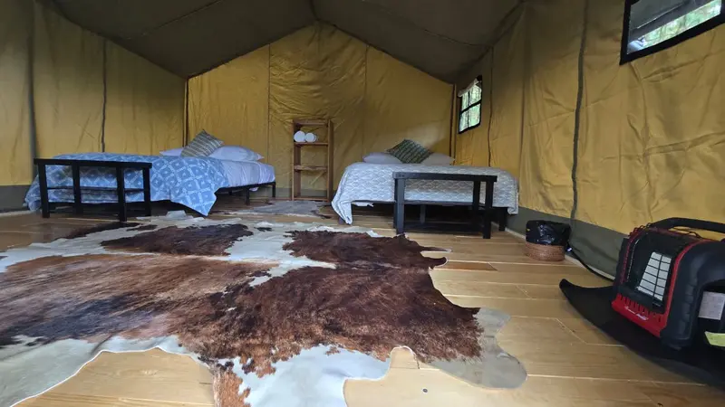 Forest Tents 8