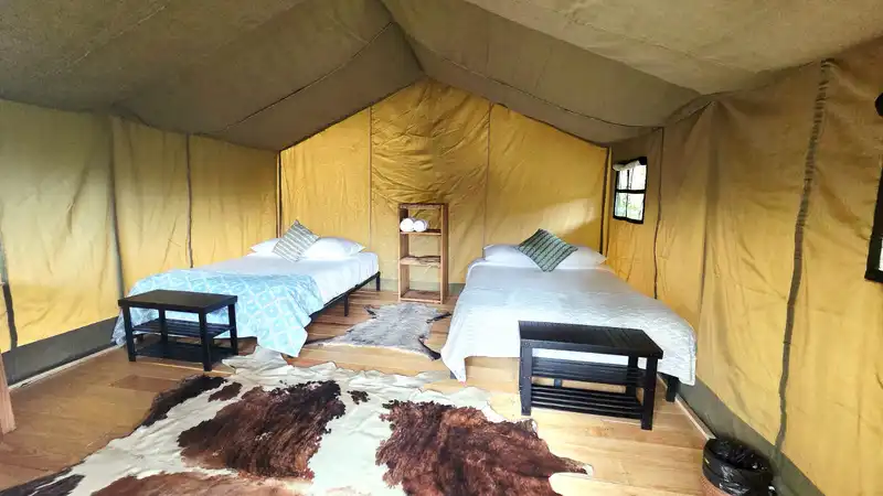 Forest Tents 7