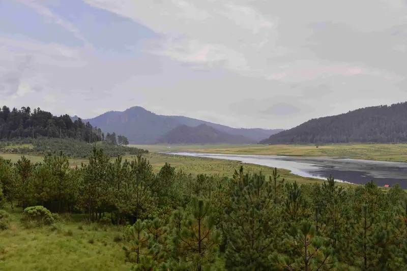 Camping Spots 6