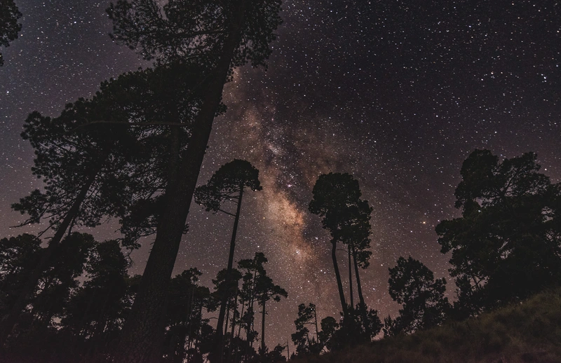 Camping Spots 7